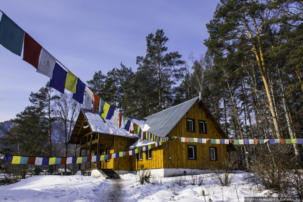 зима деревянный дом праздник флажок фестиваль лес